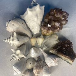 Stones and Shells Collection