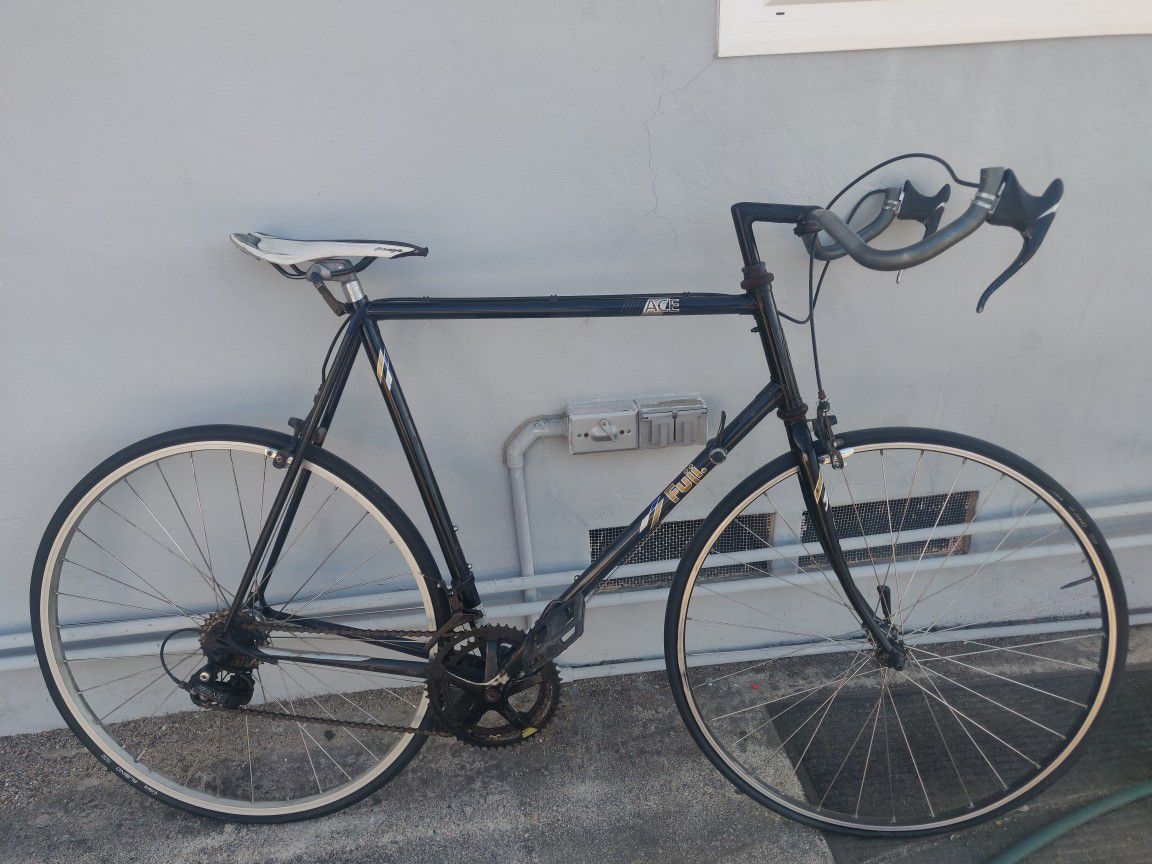 Fuji bike (project)