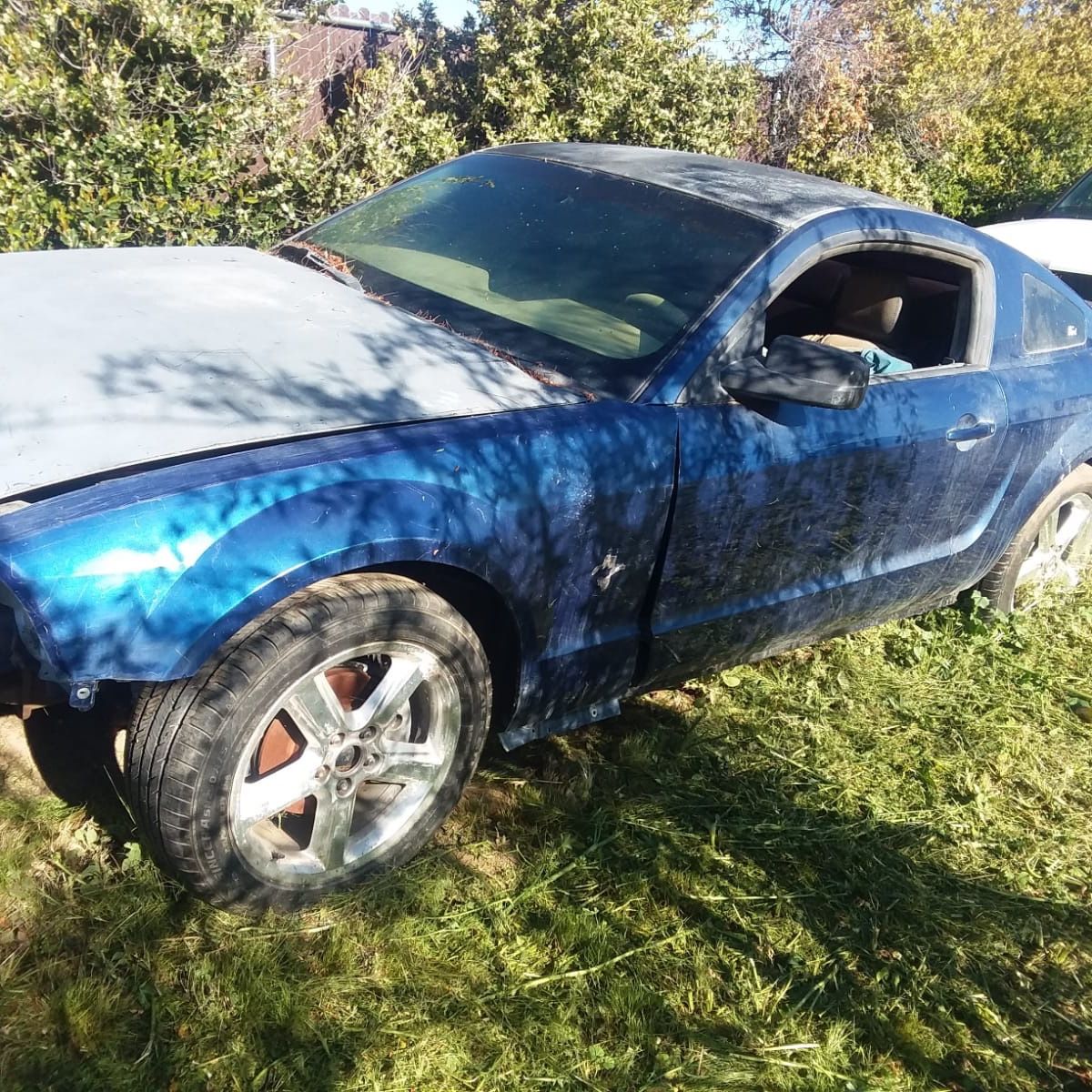 2007 Ford Mustang