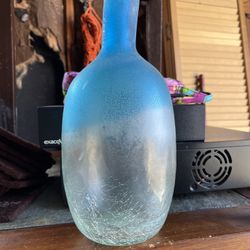 Glass Bottle/vase