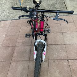 Pink Dynacraft Bike 
