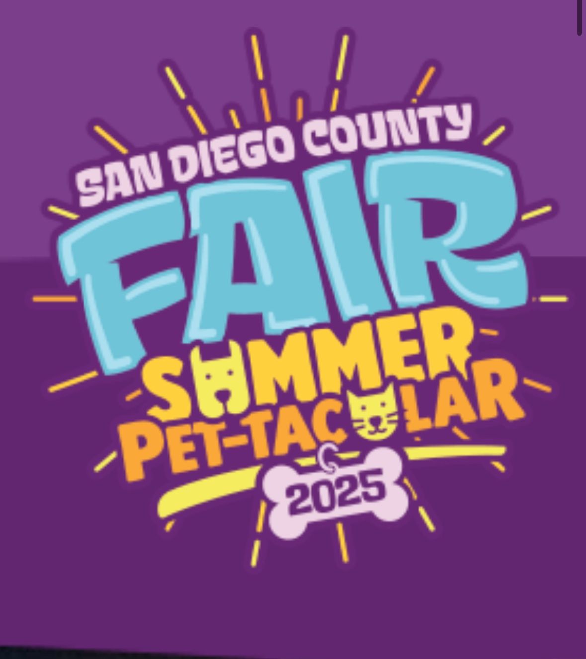san diego county fair ticket