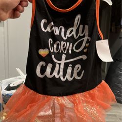 Halloween Dog Dress 