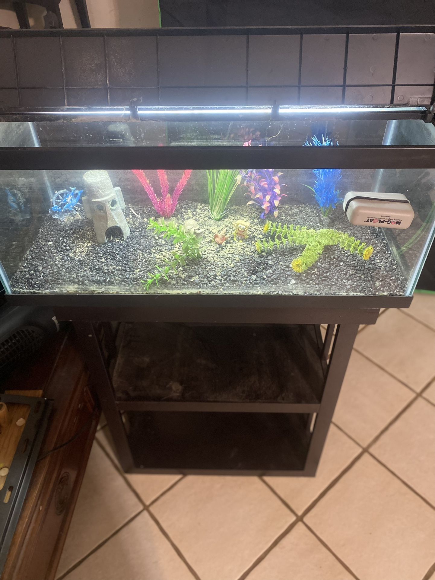 20 Gal Fish Tank With Light, Stand And Decorations