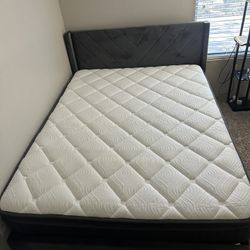 Queen Base And Mattress 