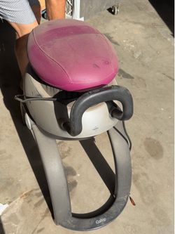 Trainer horse