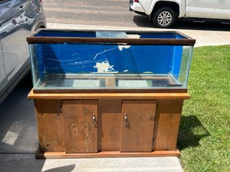 Aquarium with stand