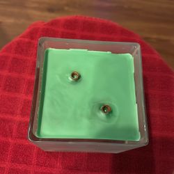 2 Wood wick’s With Green And Brown Wax &  Eucalyptus Spearmint Scent