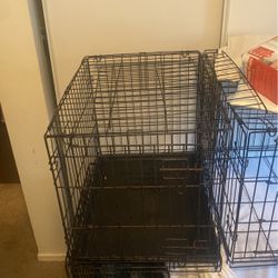 Two Kennels For 80 Bucks