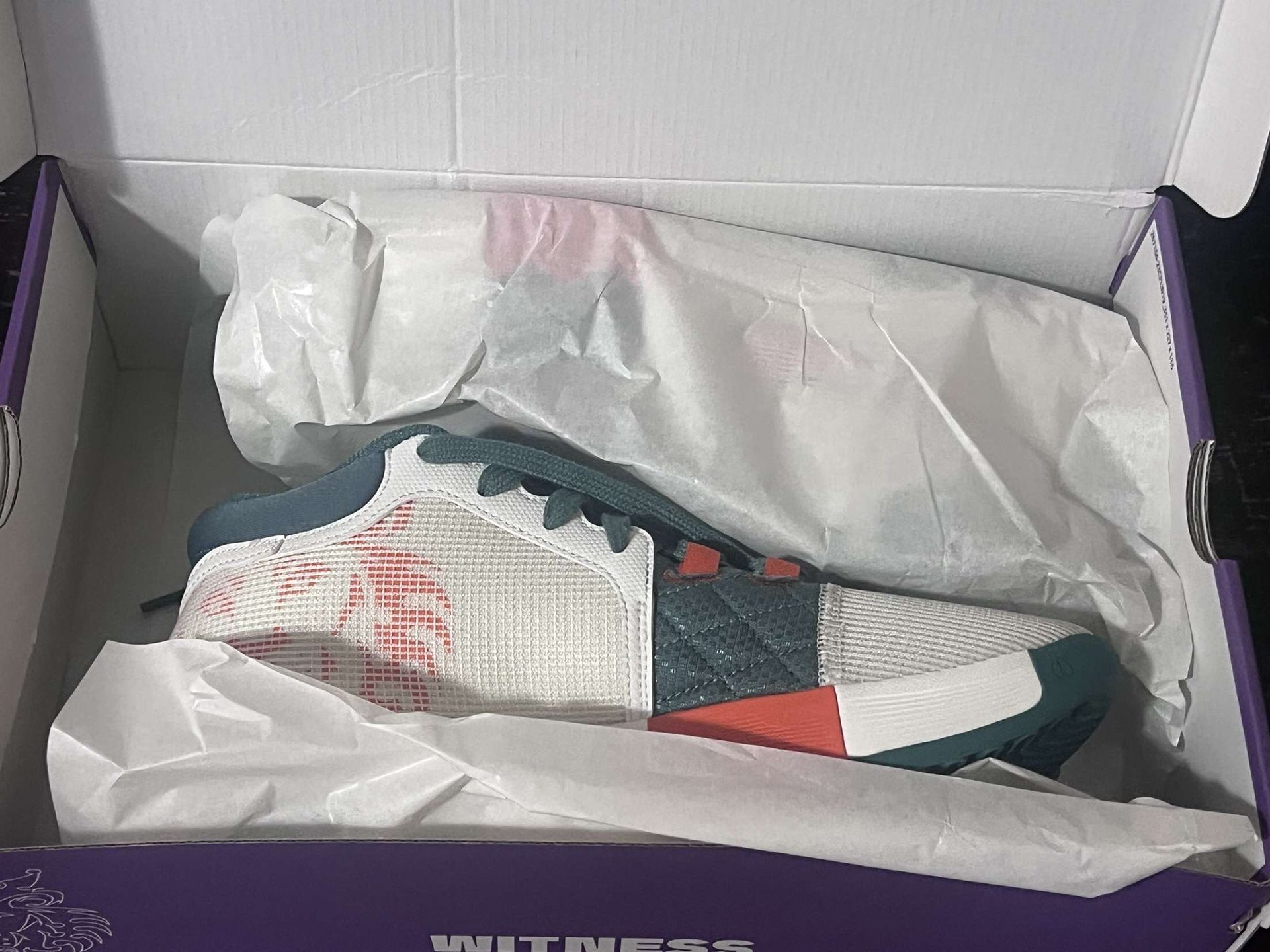Lebron Basketball Shoes