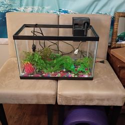 Great 10 Gallon Aquarium Starter Kit