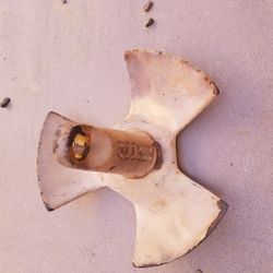 12lb Hooker River Anchor