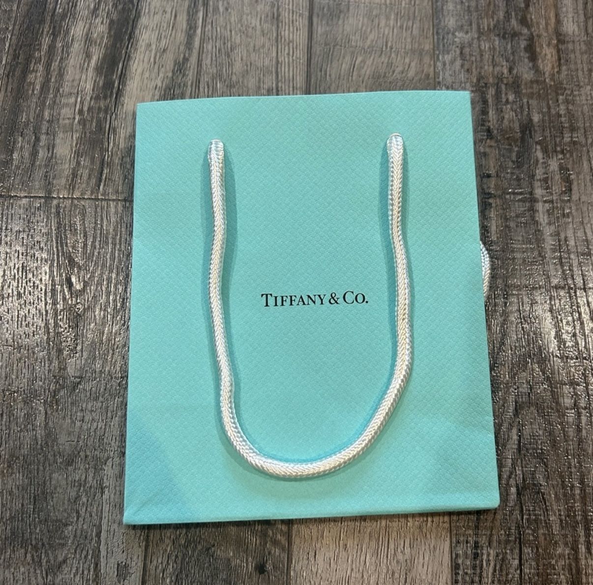 Tiffany & Co Small Bag