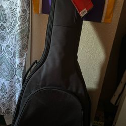 Audster acoustic guitar With Brand New Guitar Case