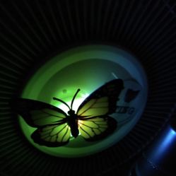 Butterfly Fan Light