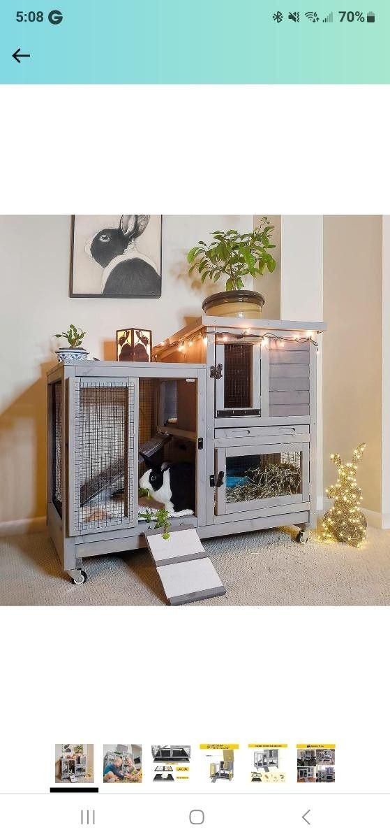 Bunny Indoor Outdoor Downstairs And Upstairs