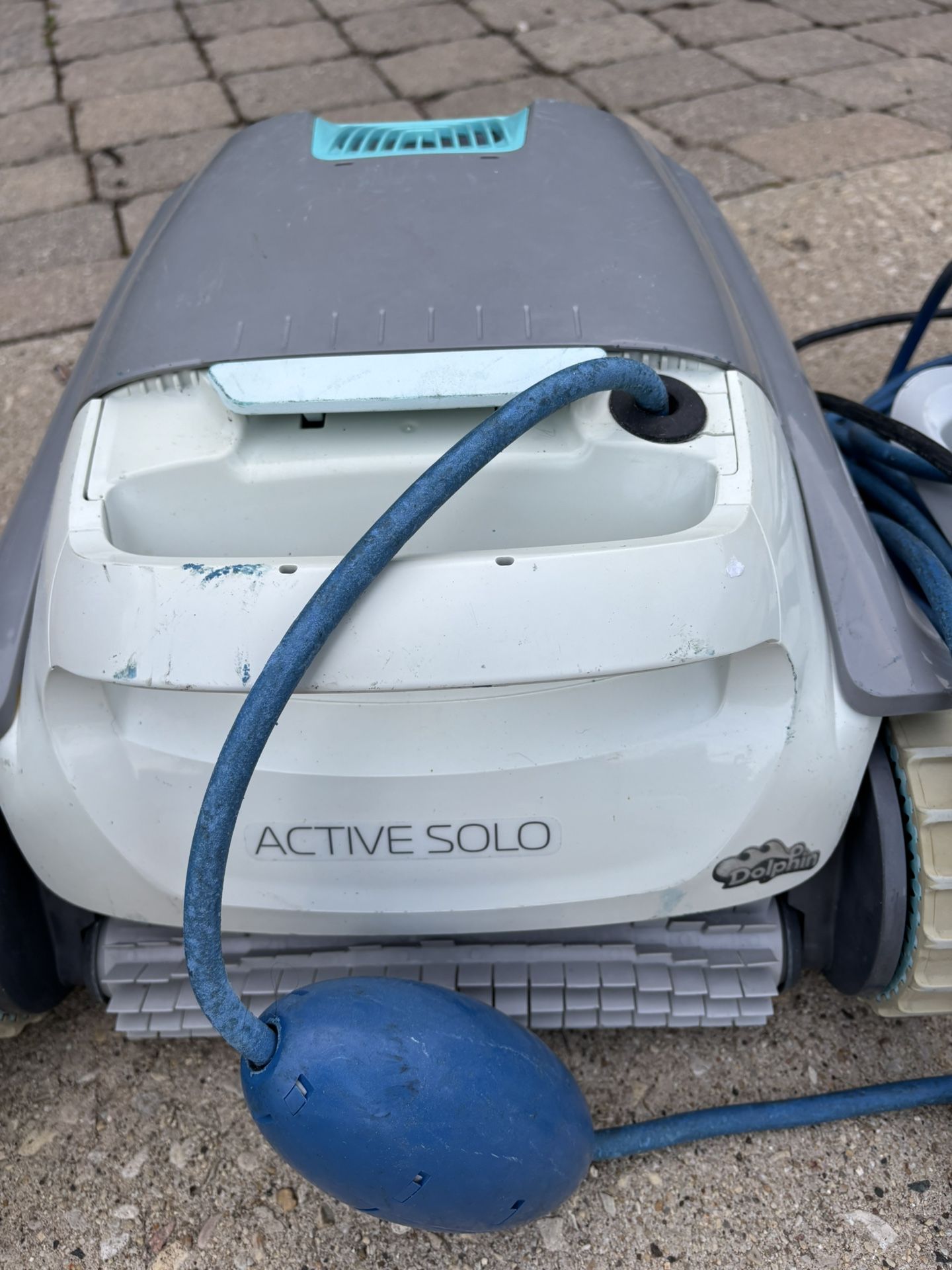 Dolphin Pool Cleaner/Vacuum