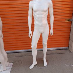 male manikin For business