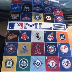 Nice Large Posterboard Only $10