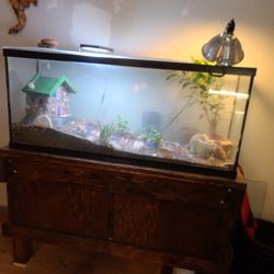 50 Gallon Fish Tank/terrarium With Solid Wooden Stand Thumbnail