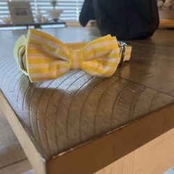 Yellow and white bowtie, dog collar with AirTag holder