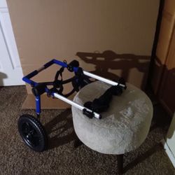 Large Pet Wheels 