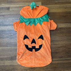 Dog Pumpkin Costume XL