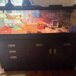 Premium 5x2x2 Bearded Dragon Setup + Custom Stand/Cabinet (Full Bundle)