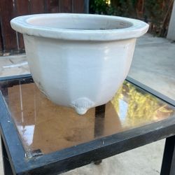 Bonsai Tree Pot
