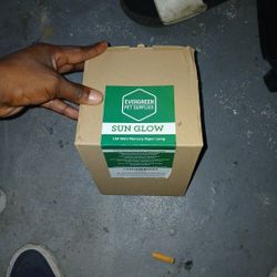 Sun Glow 100 Watt Blub