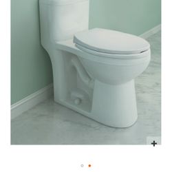 WaterRidge Dual Flush One Piece Toilet (lightly used) $125