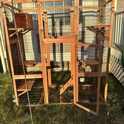 Cat Catio 