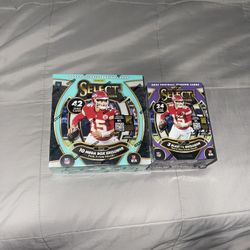 Panini Select Football