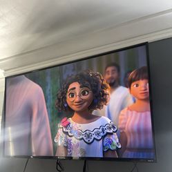 55 Inch Roku Smart Tv