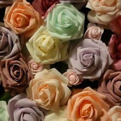 Roses Backdrop
