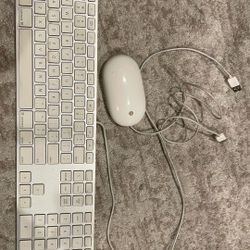 Apple Keyboard and Mouse