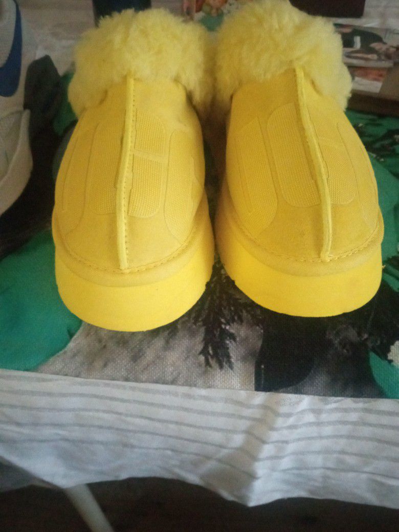 Ugg Slipers Yellow 