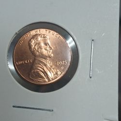 Circulated 2025 Penny
