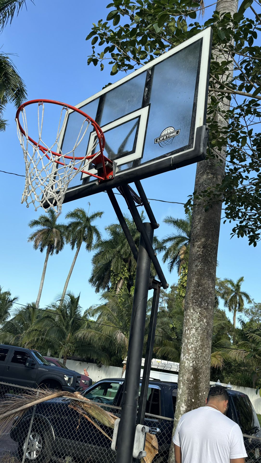 Basketball Hoop NBA size Lifetime