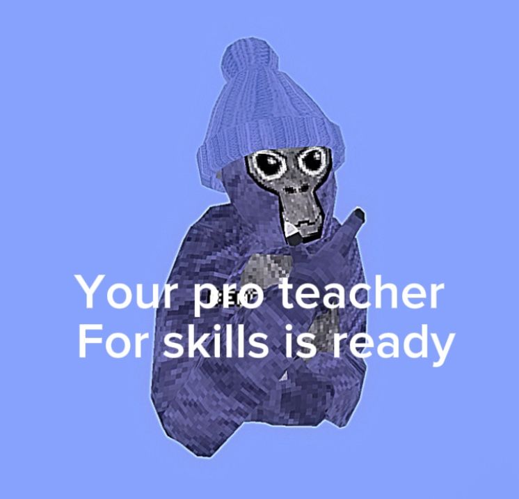 I Can Teach You Skills In Gorilla Tag