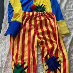 Clown Costume And Wig Size 8/9