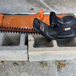 BLACK+DECKER Electric Hedge Trimmer, 17-Inch (BEHT150)