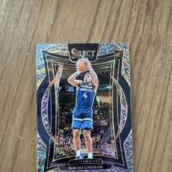 CASE HIT Panini Select Elephant Print Rob Dillingham Rookie Card