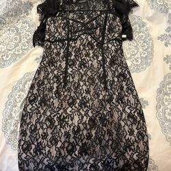 White House Black Market Size 4 Dress With Size 6 Lace Cover