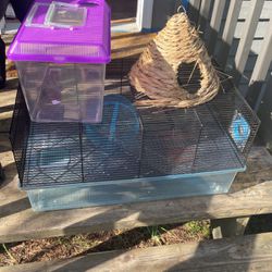 FREE Hamster Cage & Accessories 