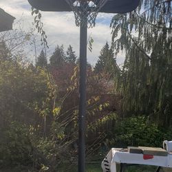 Basketball Portable Hoop