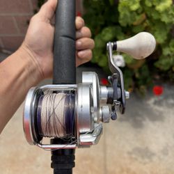 Saltwater Fishing Rods And Reels by Theodore Clutter