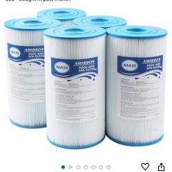 Spa & Pool Filter 