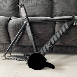 Reflective Unknown Singularity Testing Waters 🌊