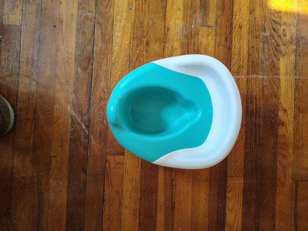 Potty Training Seat